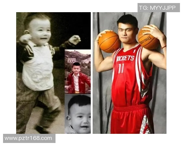 禅师与姚明的心灵对话：从篮球到人生的智慧启示