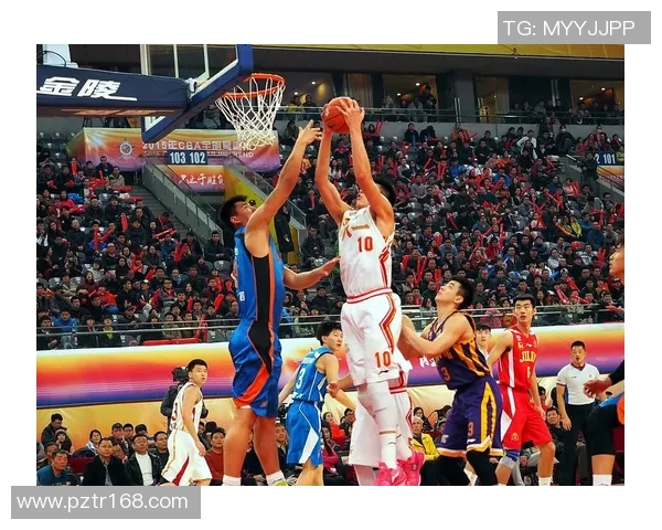 篮球装备与篮球明星的深度解析与知识分享